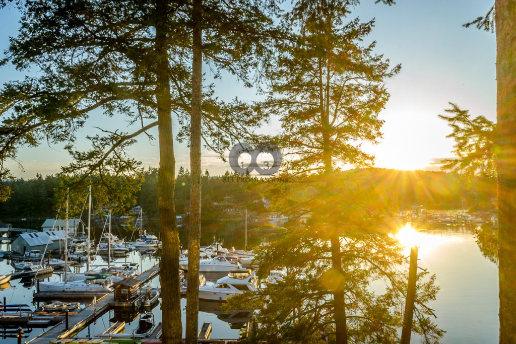 Read more about the article Sunshine Coast, Summer 2018：糜爛之旅